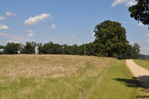 Property photo 14 - 1,575+/- Acres Offered in 23 Tracts